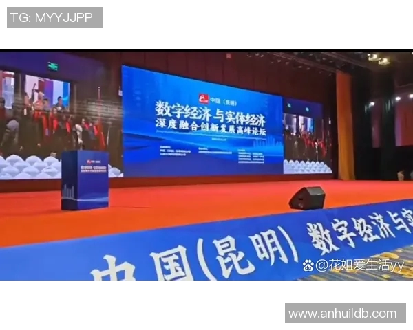 南京与武汉排球队赛后复盘分析意识碰撞与战术对决的深度探讨